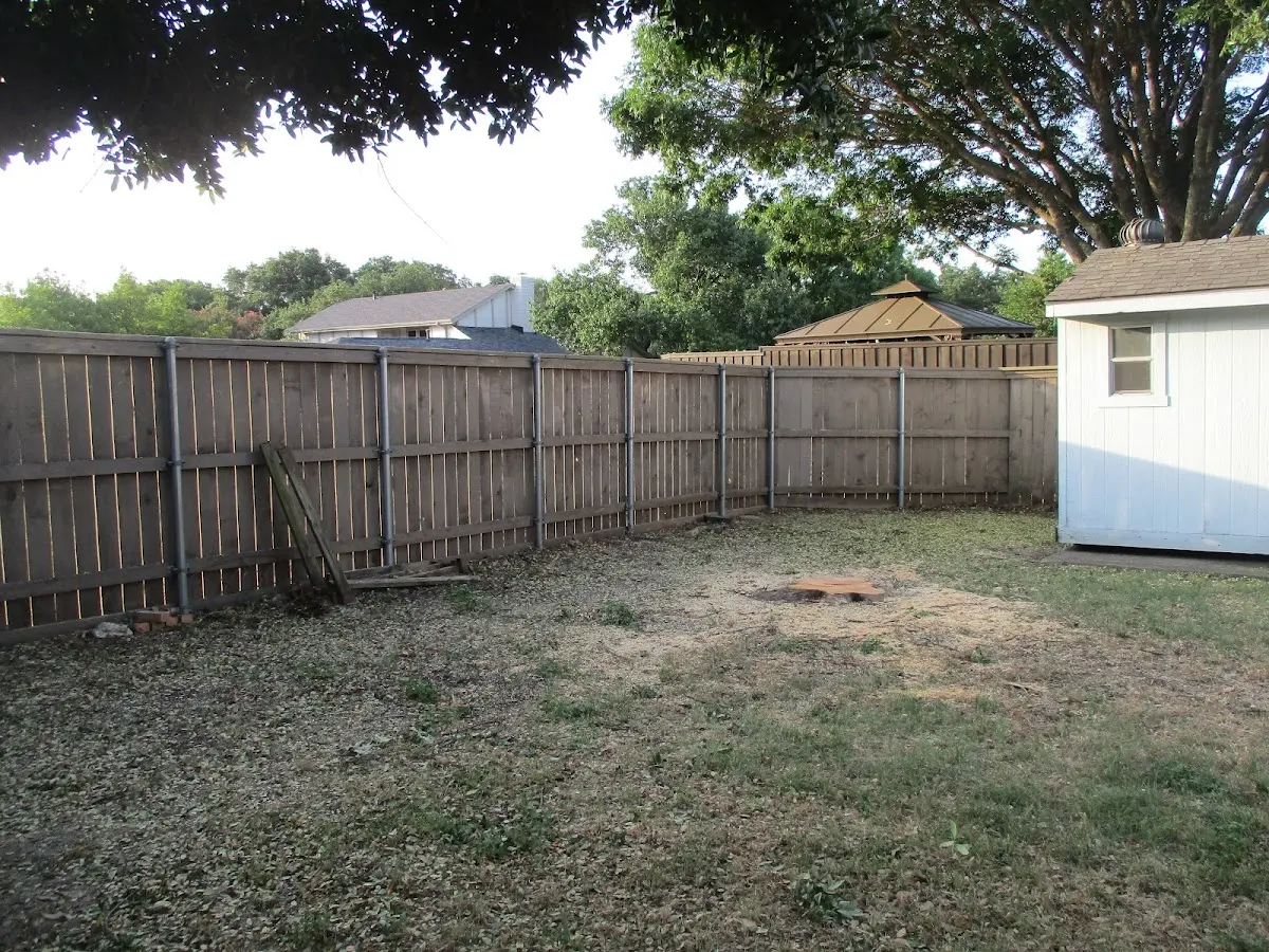 Cleared yard after professional tree removal in Green Isle