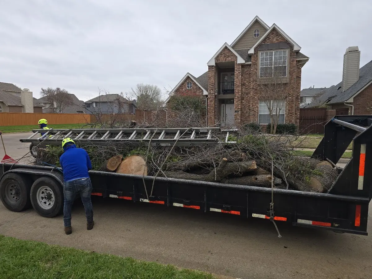 Expert Tree Removal with proper safety equipment in Green Isle